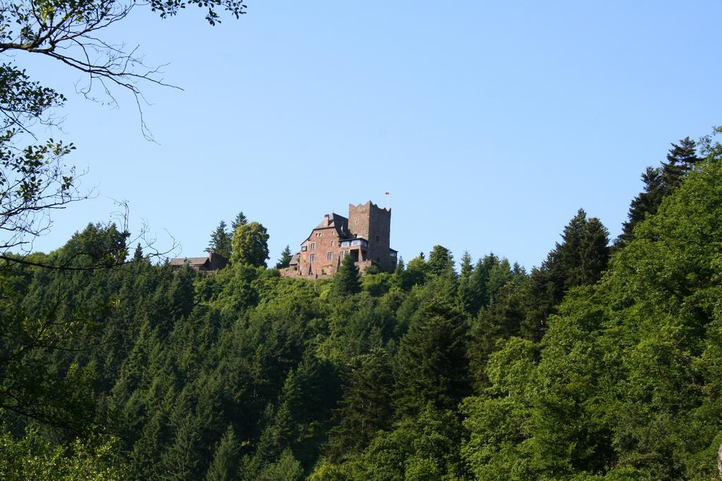 Wald Villa Üssbach Alf Exterior foto